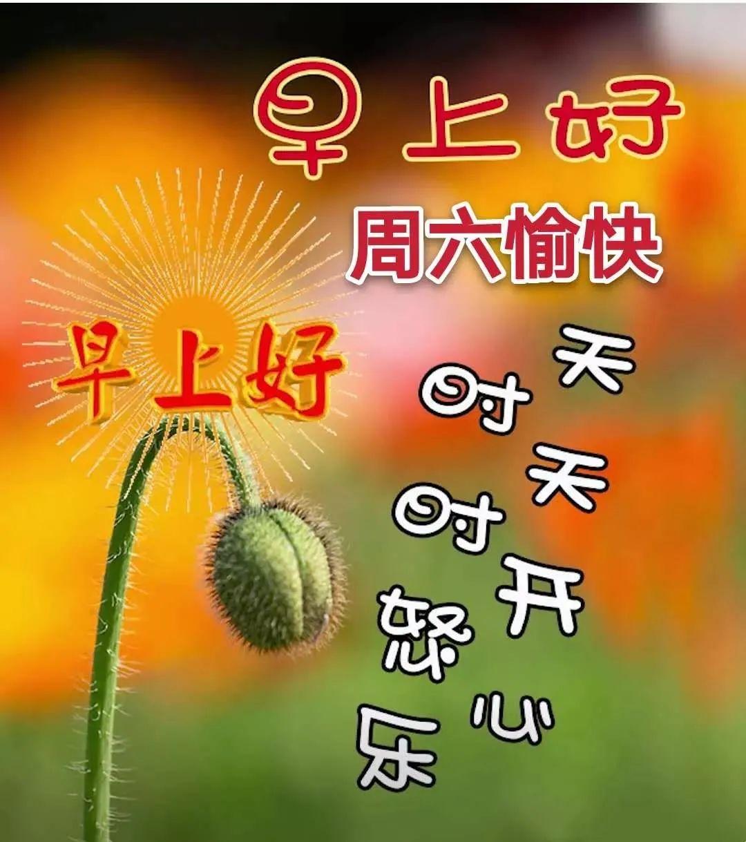 百度独一无二原创文章标题