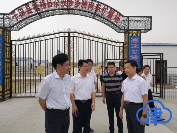 跨越山海的情谊，天津对口援疆，共绘发展新画卷