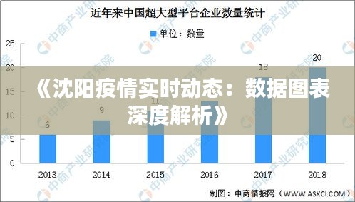 沈阳疫情走势图，数据分析与趋势解读