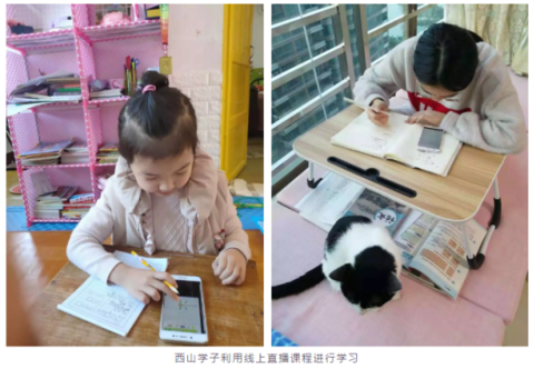 南京疫情下的校园静默，停课不停学背后的挑战与希望