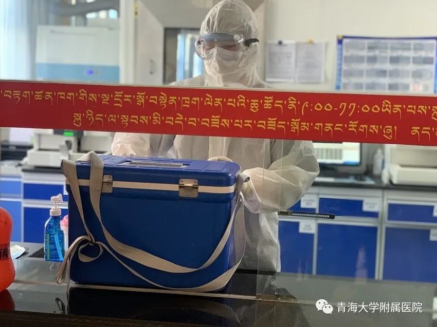 河北省疫情情况报告与青海省最新动态分析