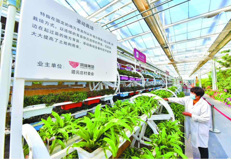 石家庄释放 石家庄释放